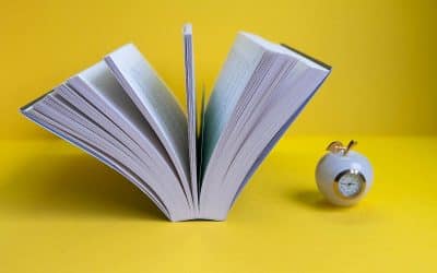 IT-Knowledge Management: Der Erfolgsfaktor der Hidden Champions!