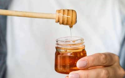 Honeypot: Der perfekte Köder!