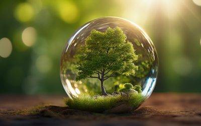 ITleague und die grüne Revolution: 400 Bäume und kein Ende in Sicht!